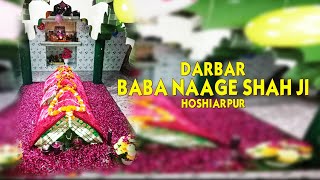 Sohan Shankar at Mela 2015 Satguru Naange shah ji, Hoshiarpur