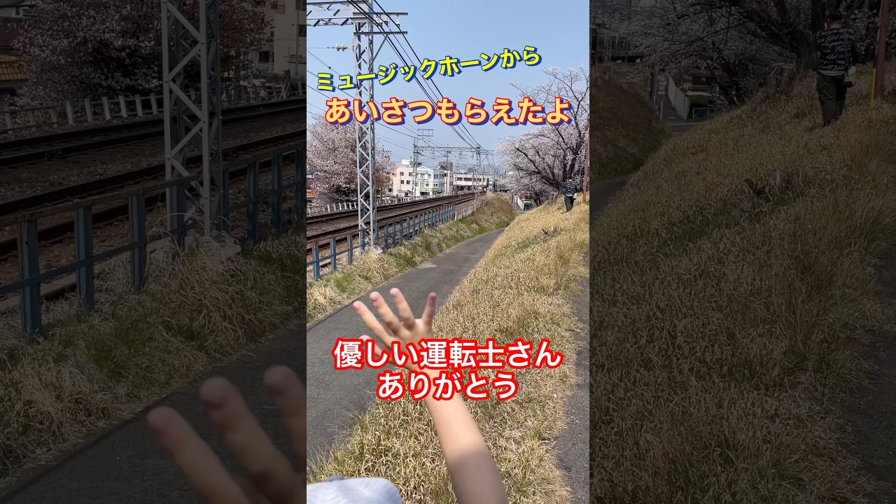 優しい運転士さんありがとう‼️ミュージックホーンからのあいさつ　桜満開の笠松カーブでお手振り大会