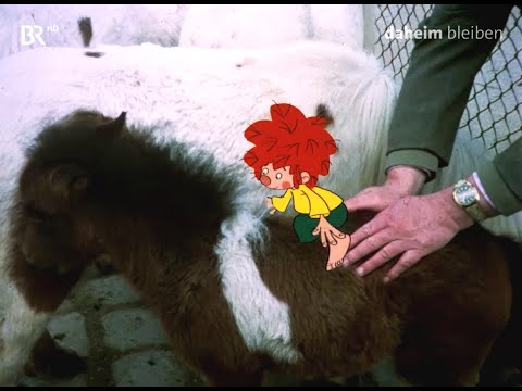 Pumuckl im Zoo