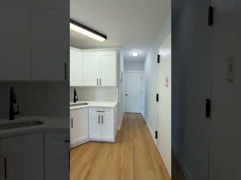 video 1