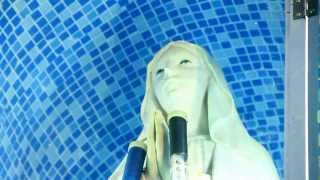 preview picture of video 'Mother Mary miracle in perambur'