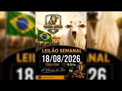 MARA ROSA LEILÕES - GOIÁS - LEILÃO DE GADO DE CORTE 18/08/2026