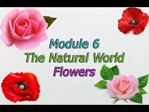 Excel 8 grade Module 6 The natural world Flowers