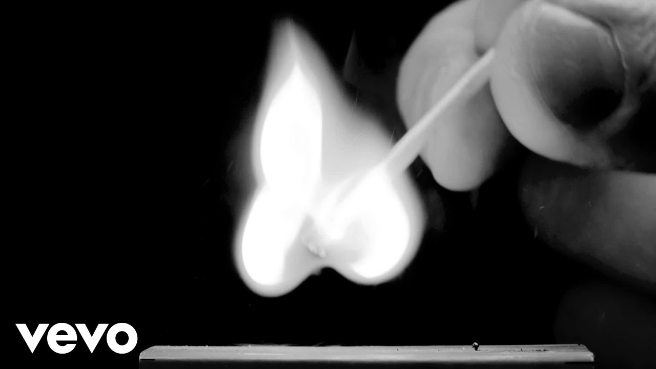 Wild Oceans - Hamburg