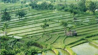 Download lagu Kharisma Cinta Broery & Dewi Yull mp3 Download lagu Kharisma Cinta Broery & Dewi Yull mp3