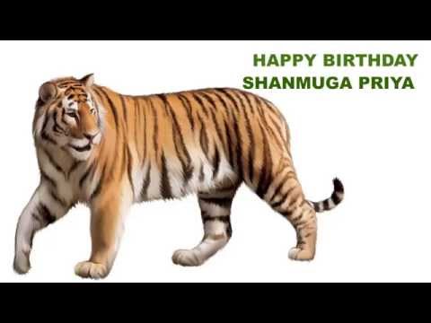 ShanmugaPriya   Animals & Animales - Happy Birthday