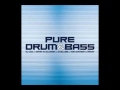 Pure Drum 'N' Bass Classic Liquid Funk Mix CD ...