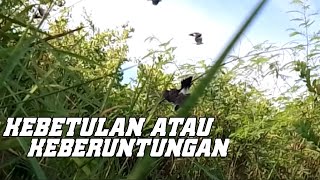 Download lagu Baru pasang mp3 sudah dibuat kocar kacir mp3