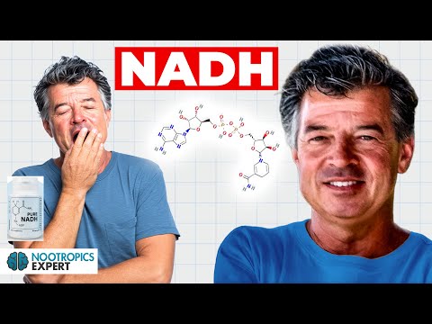 What Is NADH? Why You’re Tired—and How to Fix It