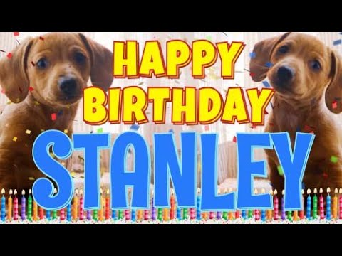 Happy Birthday Stanley! ( Funny Talking Dogs ) What Is Free On My Birthday