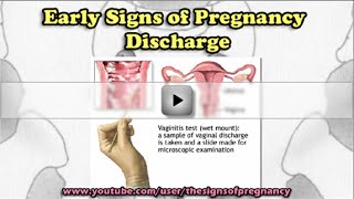 Early Signs of Pregnancy Discharge