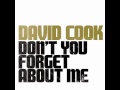 David Cook- Don't You (Forget About Me) 