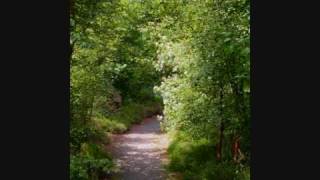 Ted Gärdestad - Sol, vind och vatten