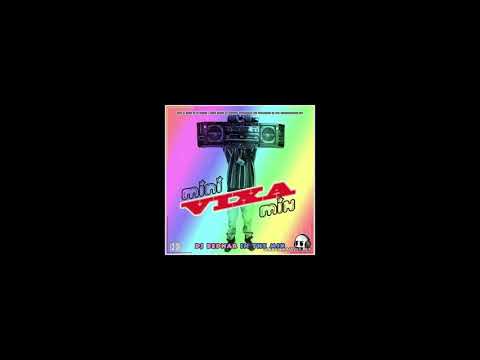 Dj Bednar - Mini Vixa Mix (2018) DDJ RZ