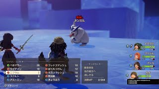 ドラゴンクエストVII Reimagined　ネンガル戦