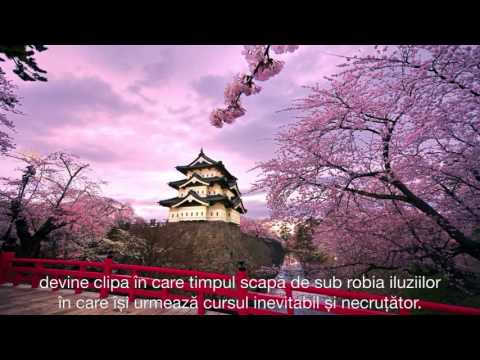 Curs de miracole - Lecția 194: Pun viitorul în Mâinile lui Dumnezeu