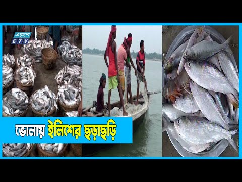 ‘এ বছর ইলিশের উৎপাদন আরও বাড়বে’