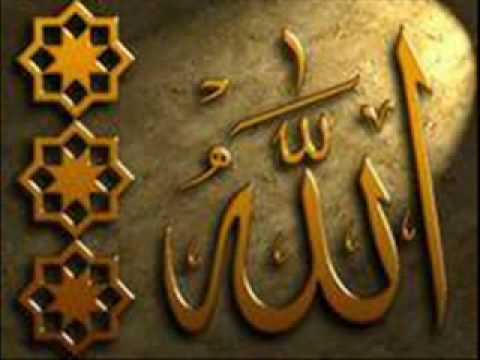 animals love to hear the quran nasheed--with lyrics