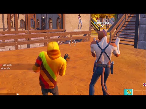 Which Would You Pick: Dog Or Cat?