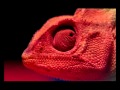 7erbayaa Master Coloring Wmv