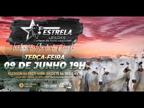 ESTRELA LEILÕES  - AO VIVO - 09/06/2026  -  19H - MORRINHOS - GOIÁS