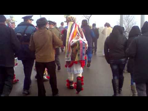 Plugul 2012 Frunzeni(Neamt  tigrisorii)