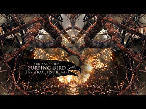 Organic Soup - Surfing Bird (Psychoactive Remix)