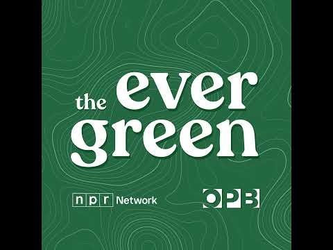 Remembering Rip City icon Bill Walton