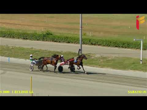 Prova di qualifica del 18 giugno 2022 - 2 Anni - Metri 2000