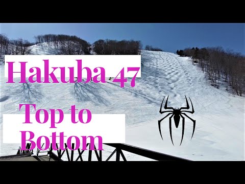 Hakuba 47 - Top to Bottom tips that you will want to know before you go.
