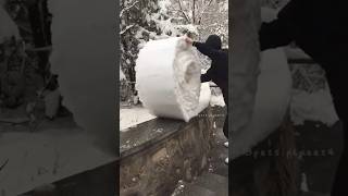 ¡Cosas que SOLO pasan cuando hay mucha NIEVE! ❄️😱