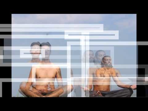 Folha Crew - Seja Voce