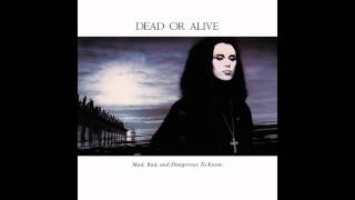 Dead or Alive - Hooked On Love