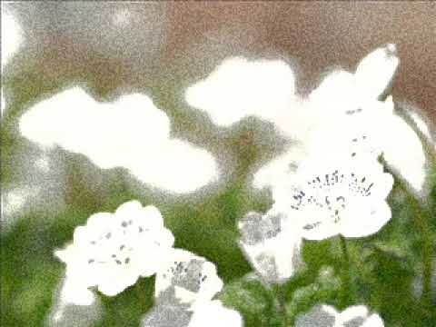 Nada Vodenicar   Ej, u agana!