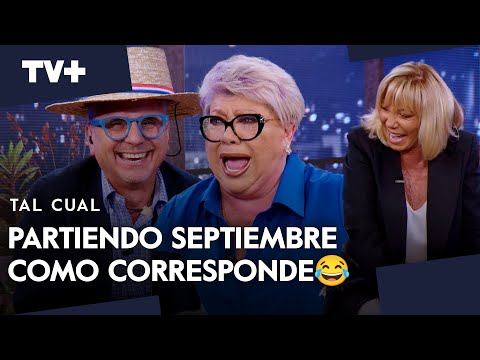 THE BEST CLOTHES HAVE ARRIVED AT TAL CUAL 😂