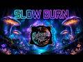 Slow Burn | UnknownTyz (official visualizer)