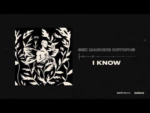 Sex Machine Octopus - Plastic Scenes - I Know [Official Audio]