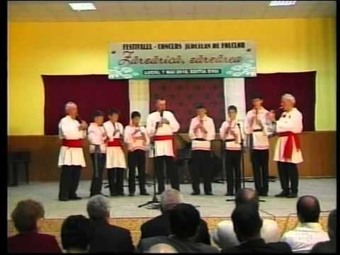 Zarzarica 2010 - Grup instrumental (Albesti) - sectiune instrumentala - mentiune