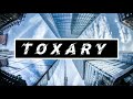 No Copyright Music Bird Food Youtube Audio Library