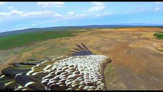 Earthflight - Official Trailer