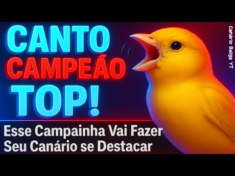 Canto CAMPAINHA de Campeão! Vai Fazer Seu Canário se Destacar! ENCARTE TOP!