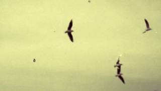 Badger Pickle covers Two Ragged Soldiers (Tribute to Scott Walker) post-shower vocal