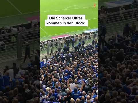 Schalke Ultras kommen in den Block #schalke #schalke04  #football #ultras #fans