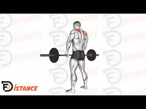 Exercice Shrugs à la barre avant