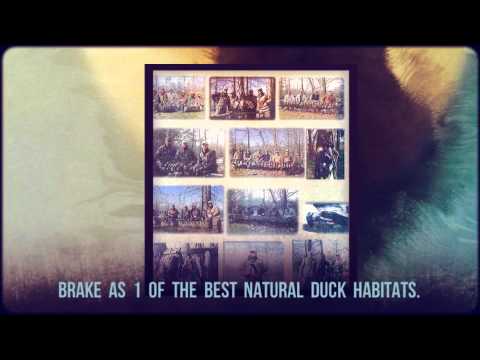 Archive 67 Video thumbnail