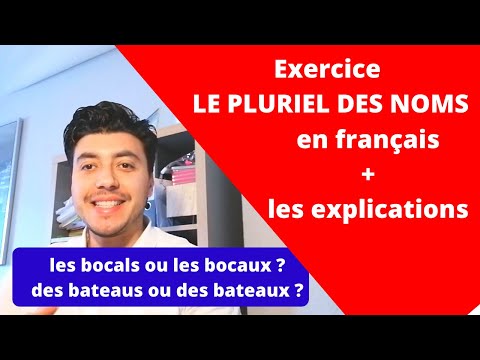 Des exercices sur le pluriel des noms en français !!!