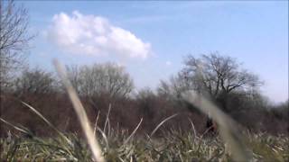 run away with my heart.