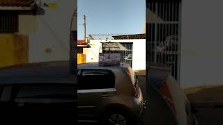 Pardo BREJO SP 177