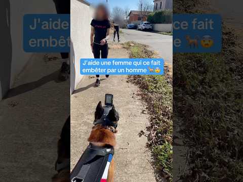 Vous pensais quoi des propos de ce jeune homme ? 👨🏼😨 #redog #pourtoi #malinois