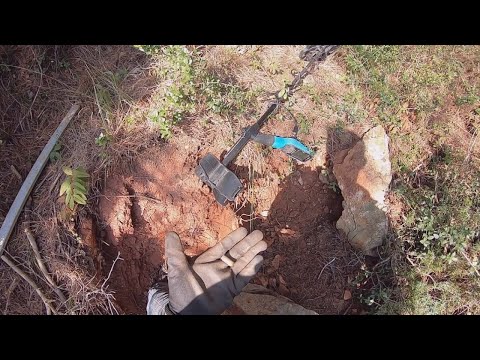 Define Ararken Bulduklarıma İnanamadım !!!